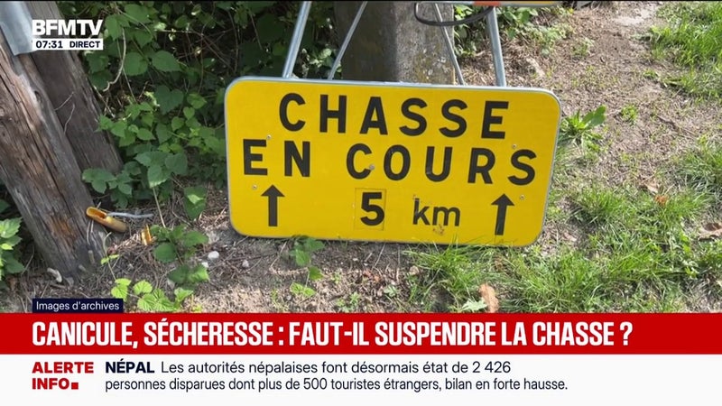 À cause des canicules à répétition, de la sécheresse et des incendies, des associations veulent repousser l'ouverture de la chasse "pour laisser le temps à la nature de se remettre"