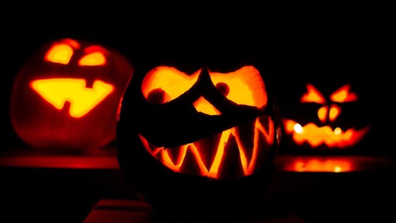 800m² de Playmobil, concert de Leto et cirque: les événements à ne pas rater ce week-end d'Halloween en Essonne