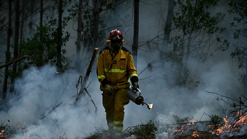 "Un scandale à venir": des pompiers intoxiqués par les feux de forêt dénoncent un manque de suivi médical