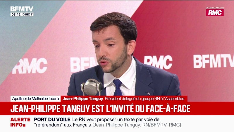 "Je suis sorti de là terrorisé": Jean-Philippe Tanguy, député RN, raconte sa rencontre avec des membres de l'AfD au Parlement européen avant les élections de 2019