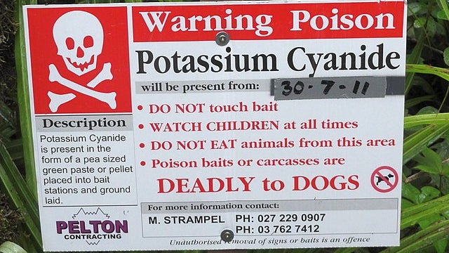 Il est accusé d'avoir empoisonné sa femme avec du cyanure de potassium, une molécule mortelle (image d'illustration)