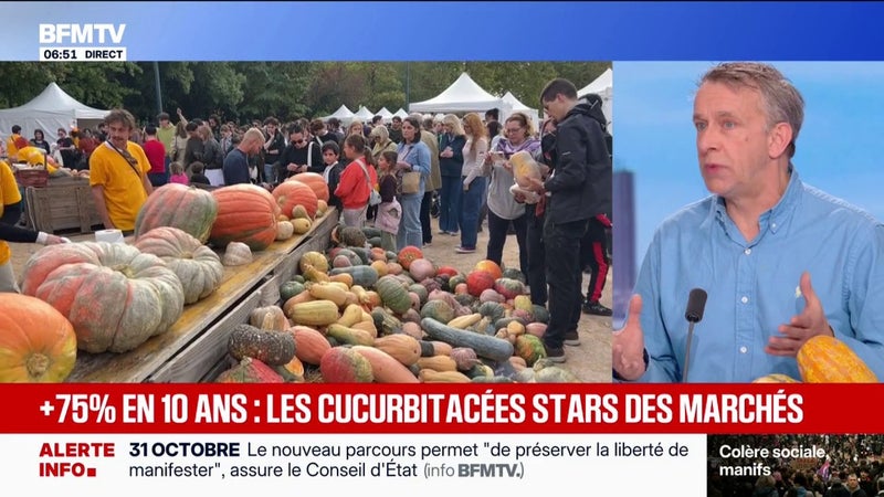 Les cucurbitacées, stars des marchés, avec plus de 75 % de ventes en 10 ans