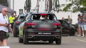 Une cycliste belge a traverse la lunette arriere d une voiture lors des Championnats de Belgique U17 le 9 aout 2026 2330484