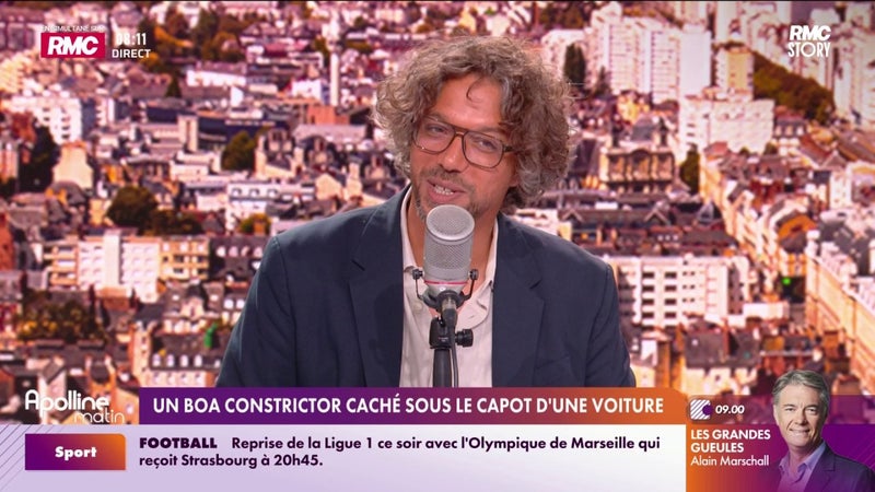 Apolline matin fait sa rentrée sur RMC et RMC Story ce lundi 24 août