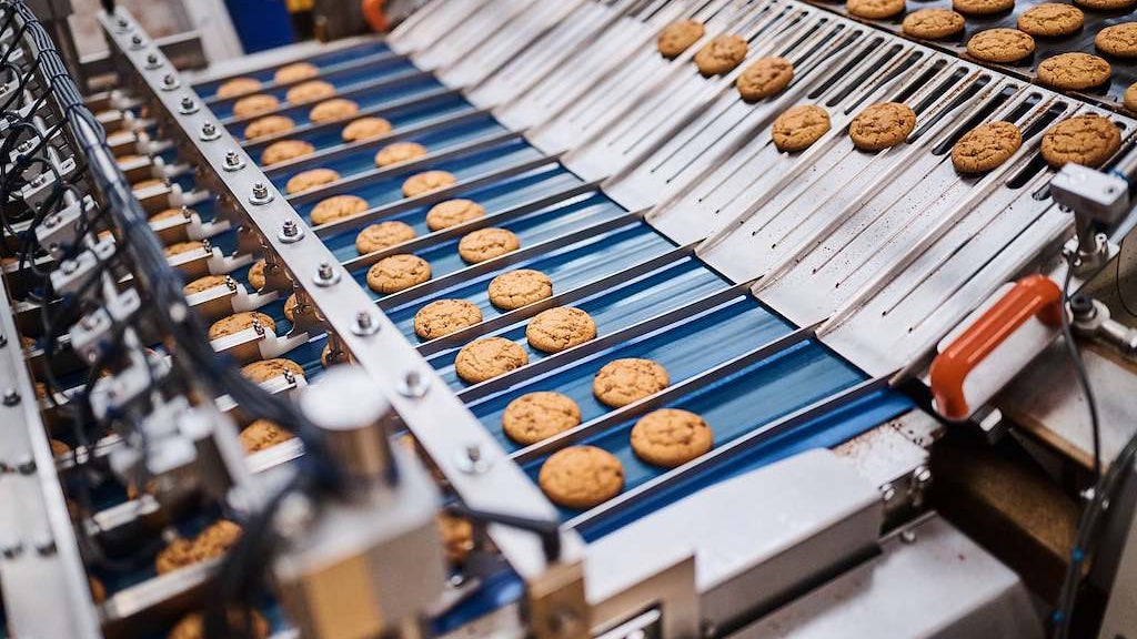 Les Nutella Cookies sur leur nouvelle ligne de production de l’usine Delacre de Nieppe (Nord). Ferrero a investi 30 millions d’euros dans le site, qui approvisionnera à terme l’ensemble du marché européen. Les Nutella Cookies sur leur nouvelle ligne de production de l’usine Delacre de Nieppe (Nord). Ferrero a investi 30 millions d’euros dans le site, qui approvisionnera à terme l’ensemble du marché européen.
