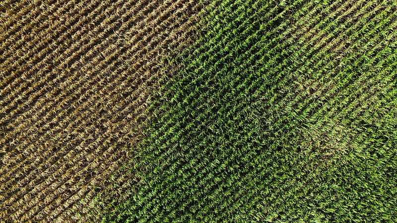 "On a l'impression qu'ils se foutent de nous": la colère des agriculteurs face à un plan d'aide jugé "pas suffisant"