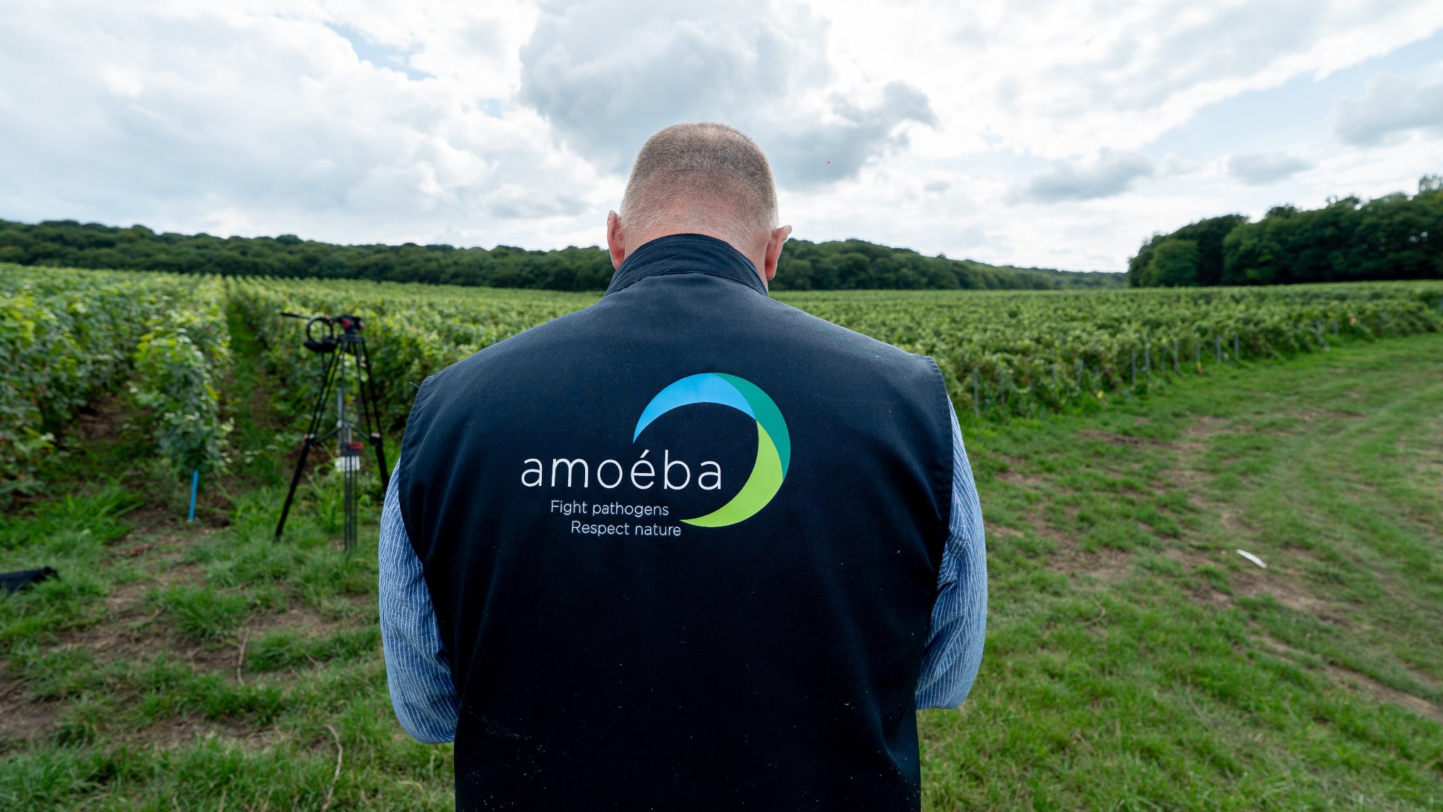 Amoéba seeks funding to scale up its ameba-based plant protection business