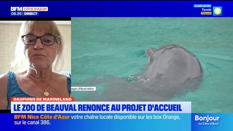 Marineland : L'association "C'est assez" se satisfait de l'abandon du projet delphinarium à Beauval