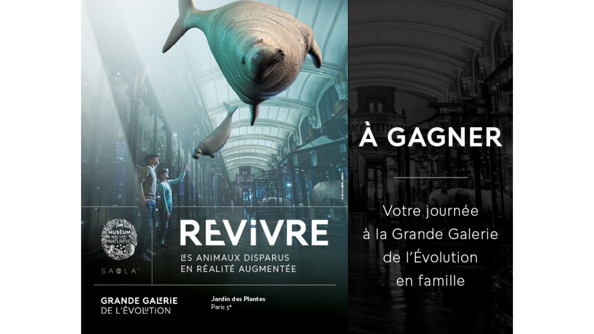 À GAGNER : VOTRE JOURNÉE EN FAMILLE À LA GRANDE GALERIE DE L'ÉVOLUTION