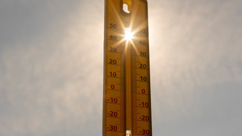 "28°C lundi et mardi, mercredi 26°C , jeudi 24°C et vendredi 21°C"... Les Français soulagés face aux baisses de températures