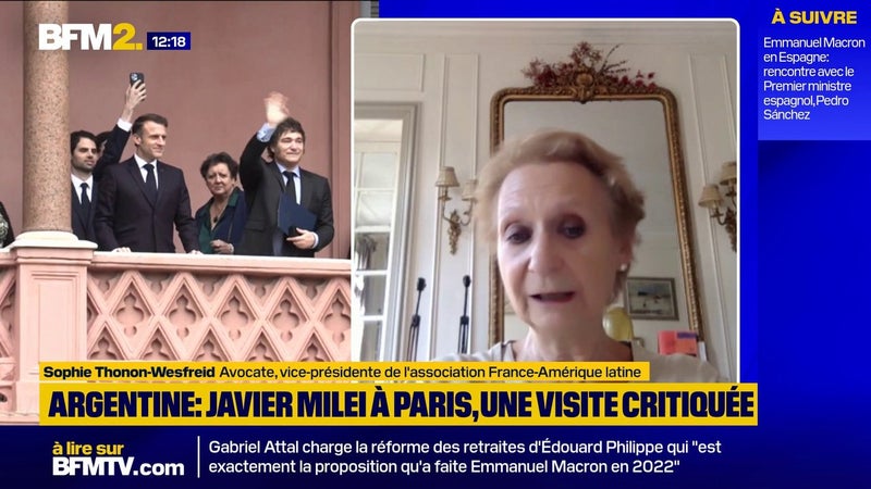 Javier Milei à Paris: l'association France-Amérique latine "extrêmement choquée" par la visite du président argentin