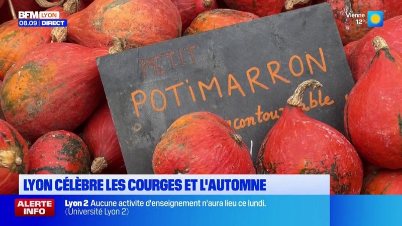 Lyon célèbre les courges et l'automne
