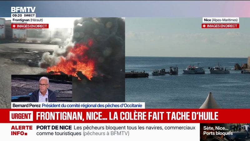 Colère des pêcheurs: la façade Méditerranée est "le plus en souffrance" selon Bernard Perez, président du comité régional des pêches d'Occitanie