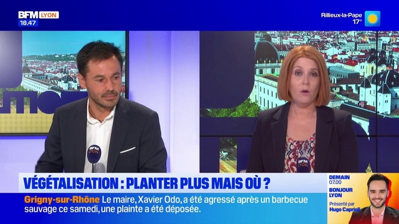 Canicule à Lyon: "on est portés sur des piscines naturelles"