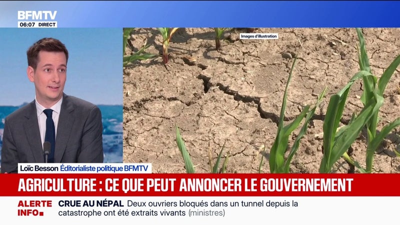 Agriculture: ce que peut annoncer le gouvernement