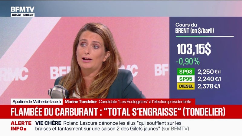 Pouvoir d'achat: TotalEnergies "s'engraisse à partir de cette crise", estime Marine Tondelier, candidate Les Écologistes à l'élection présidentielle