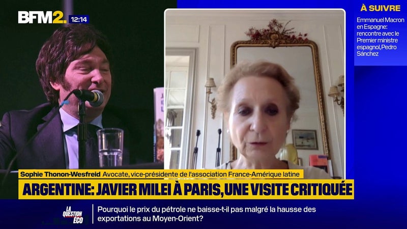 Javier Milei à Paris: vers davantage d'investissements d'entreprises françaises en Argentine?