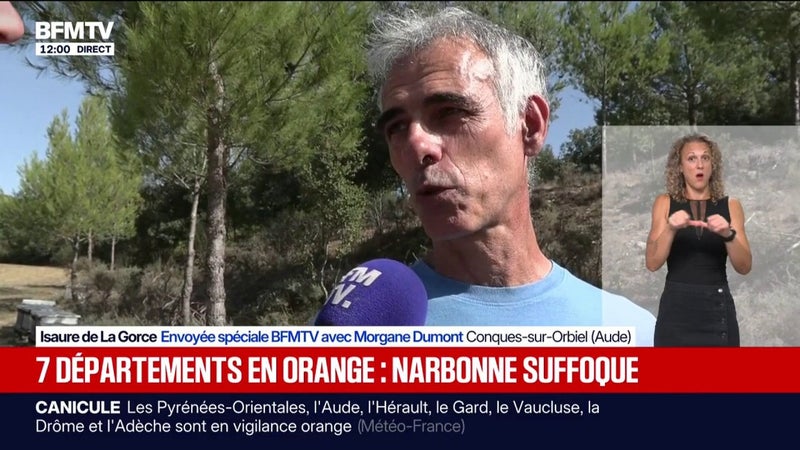 À Narbonne, les apiculteurs craignent l'impact des fortes chaleurs sur les abeilles