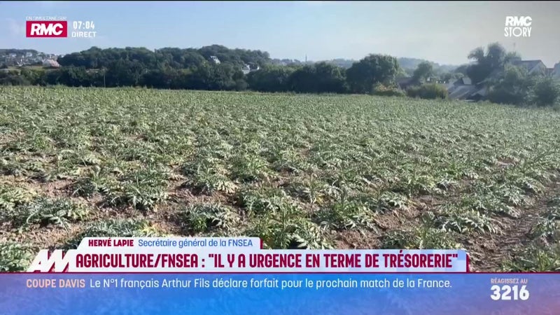 Agriculture/FNSEA : "Il y a urgence en termes de trésorerie"