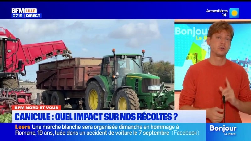 BFM Nord et Vous: quel est l'impact de nos récoltes après cet été caniculaire ?