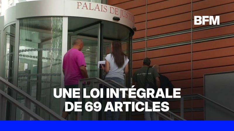 Que contient la loi intégrale contre les violences sexistes et sexuelles?