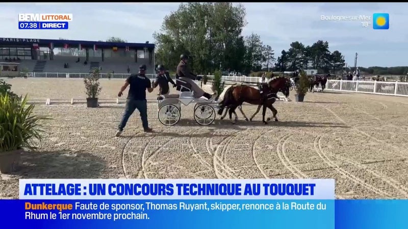 Un concours d'attelage ce week-end au Touquet