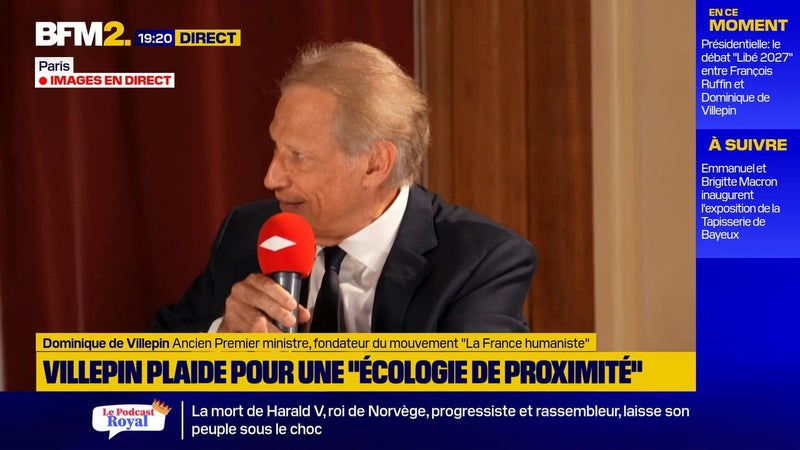 Climat: Dominique de Villepin souhaite "inscrire" dans la Constitution la neutralité carbone d'ici à 2050