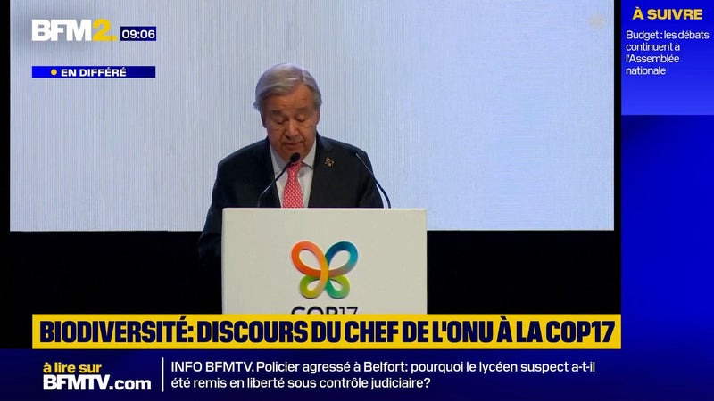 Biodiversité: "Subventionner les énergies fossiles" c'est "subventionner le suicide", affirme le chef de l'ONU