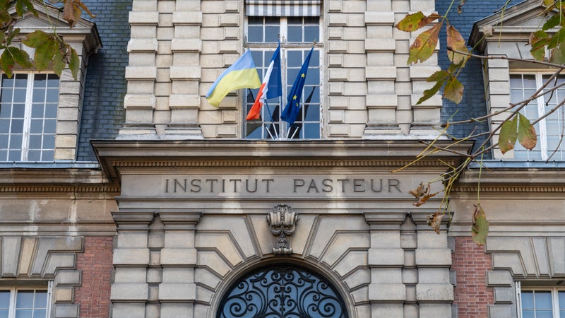 "La peste, c'est traitable": la directrice de l'Institut Pasteur appelle à rester "calme" mais "vigilant" après les soupçons de peste en Russie