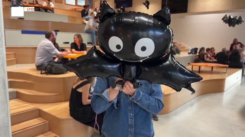 Fête de la science : les pneus à l'origine de l'invasion du moustique tigre... On vous dit tout !