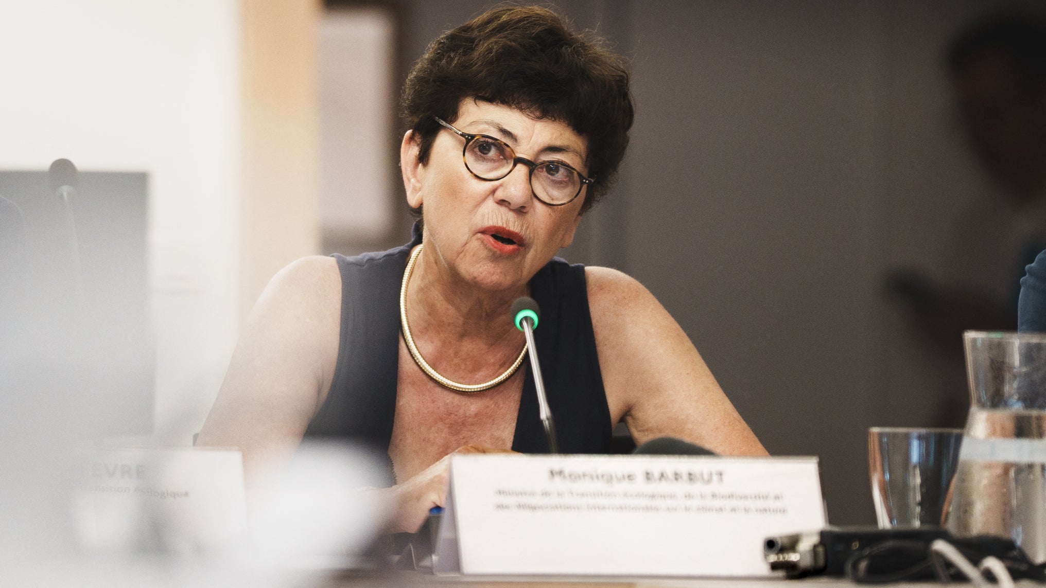 “Un gâchis”: loi d'urgence agricole adoptée, la ministre Monique Barbut va présenter sa démission