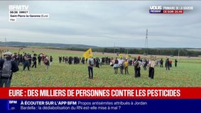 Eure: des milliers de personnes ont manifesté contre les pesticides