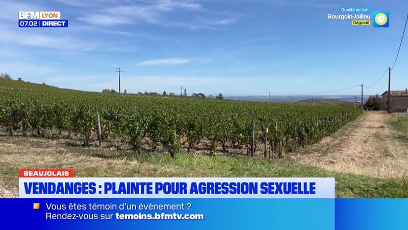 INFO BFM LYON: un vigneron du Beaujolais est accusé d'agressions sexuelles, une plainte déposée