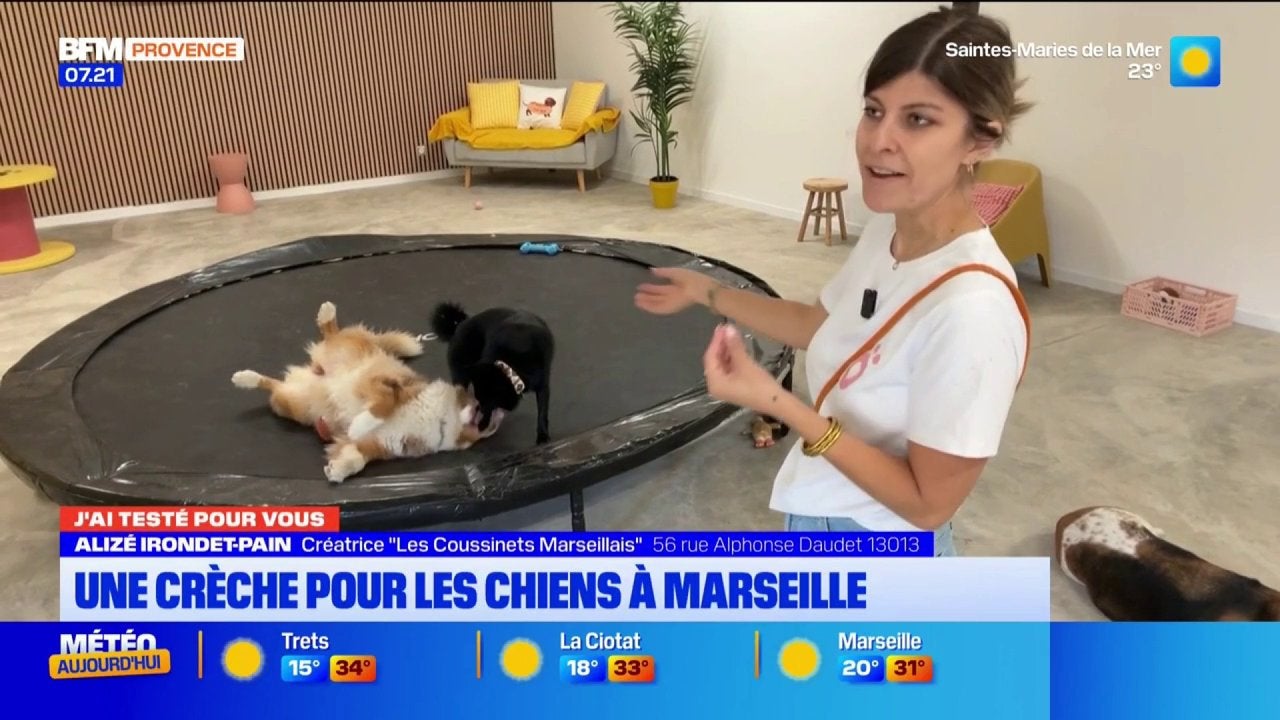J'ai testé pour Vous: direction une crèche pour animaux à Marseille