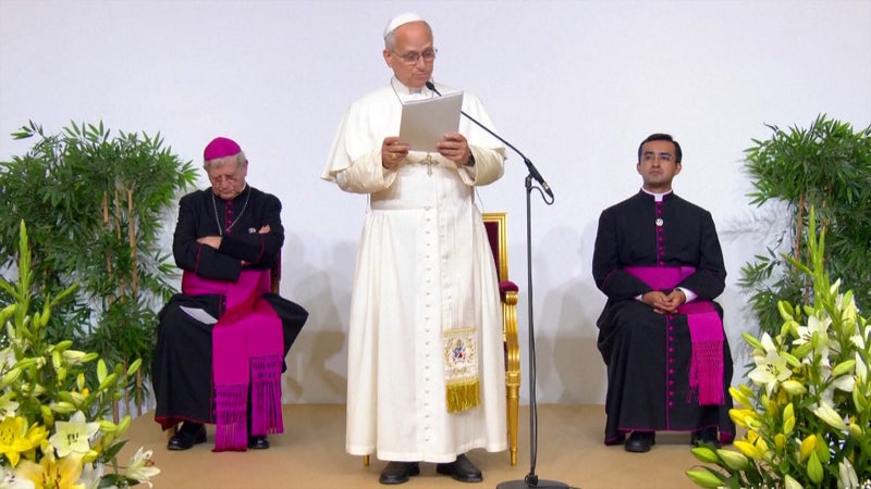 Léon XIV en France: à la rencontre de nouveaux baptisés, le pape se dit "émerveillé" par "les nombreux adultes qui demandent le sacrement"