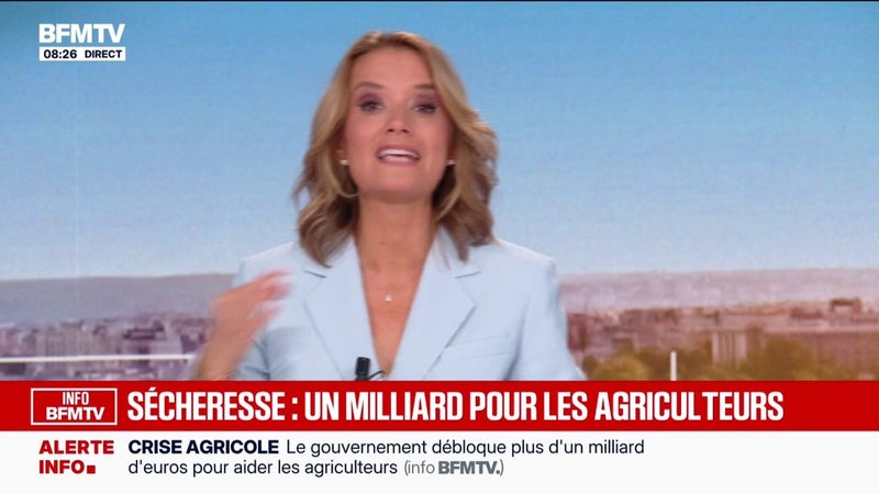 INFO BFMTV: un milliard d'euros d'aides sera débloqué pour les agriculteurs victimes de la sécheresse