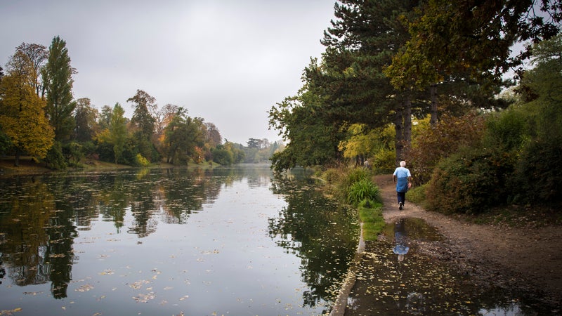 Le bois de Boulogne. (photo d'illustration)