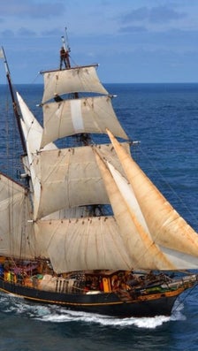 Le fret maritime à la voile fait son retour