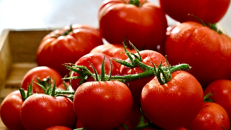 "Des troubles de la vue et des hallucinations": attention, ces tomates en conserve Carrefour contiennent des graines de Datura