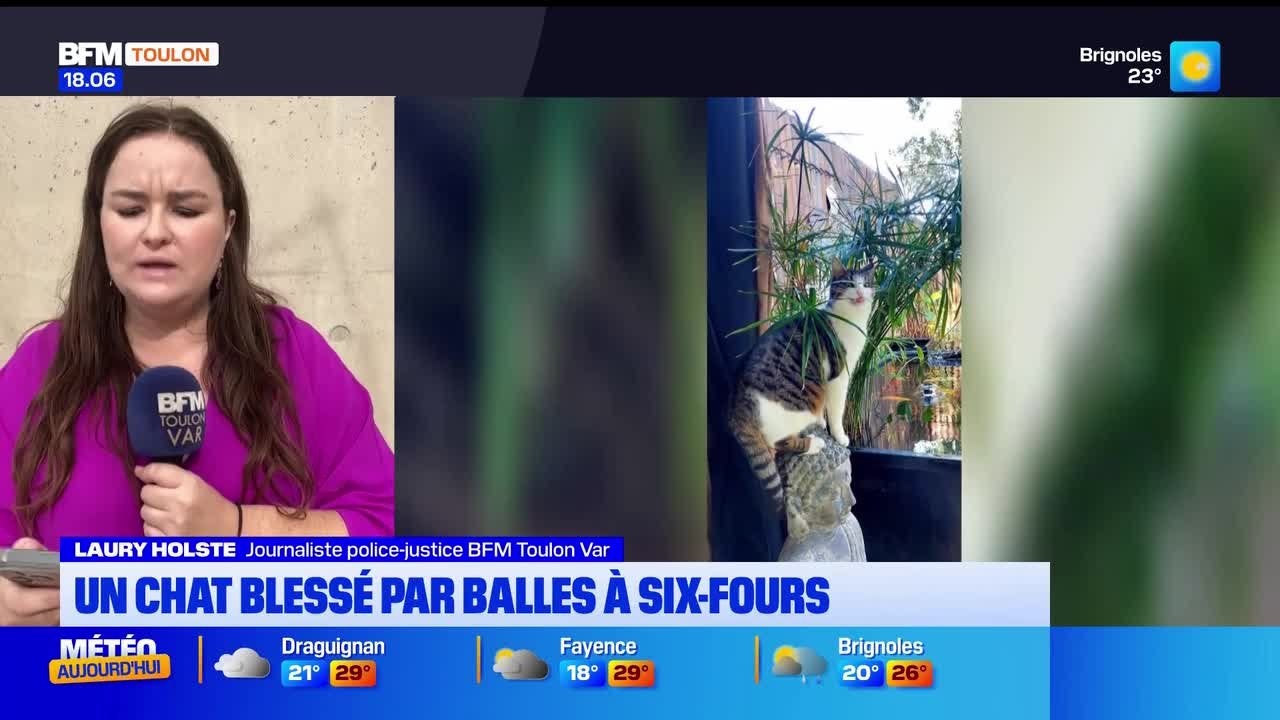 Émission du 9 septembre 2026