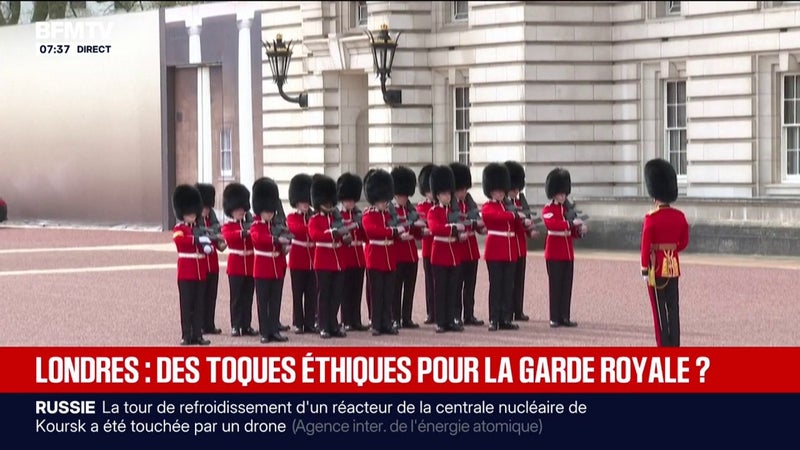Londres : la tradition des bonnets en peau d'ours de la garde royale contestée