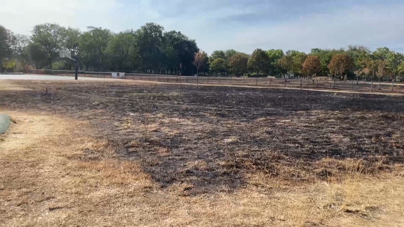 "Quelle irresponsabilité des parents!": à 10 ans, ils "jouent" avec des mortiers et mettent le feu à un parc de région parisienne