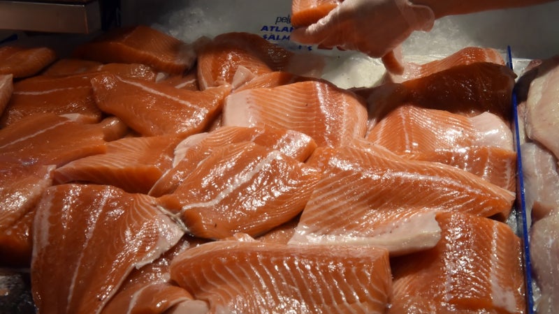 Ce n'est pas écrit sur l'étiquette mais les éleveurs de saumons nourrissent leurs poissons avec du foie, de la cervelle ou des os de poulet