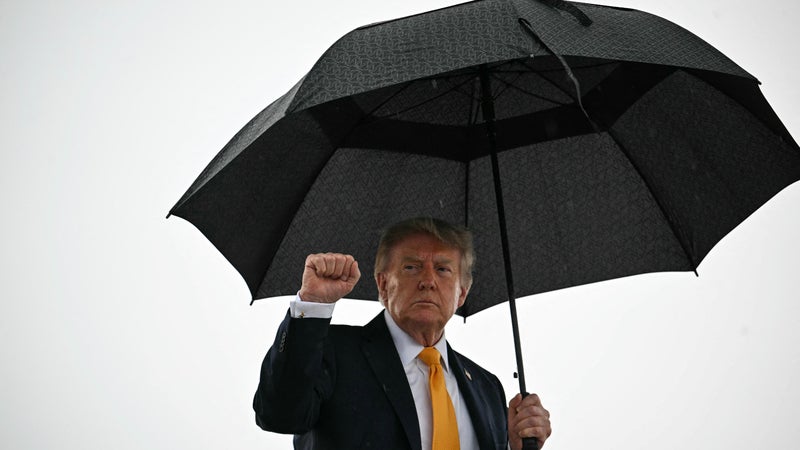 Donald Trump salue la "très bonne soirée" de l'extrême droite allemande après sa victoire historique aux élections régionales en Saxe-Anhalt