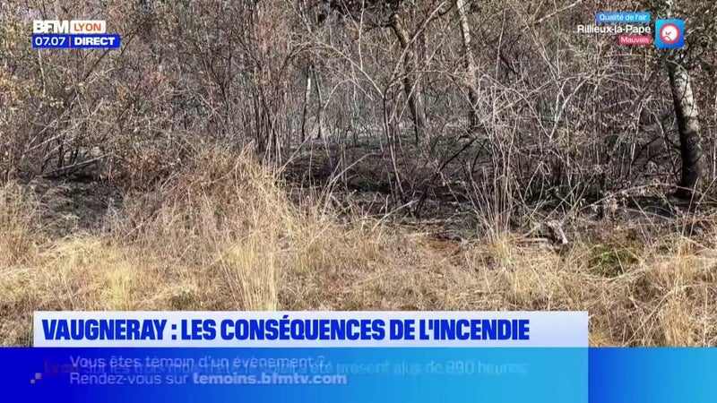 Quelles sont les conséquences de l'incendie de Vaugneray qui s'est déclaré ce vendredi