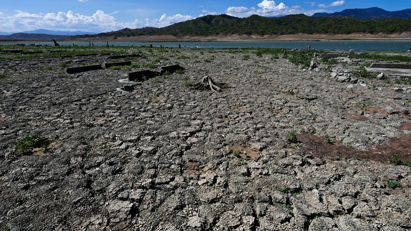 Restrictions d'eau à cause de la sécheresse: "Certains continuent d'arroser et laver leurs voitures"