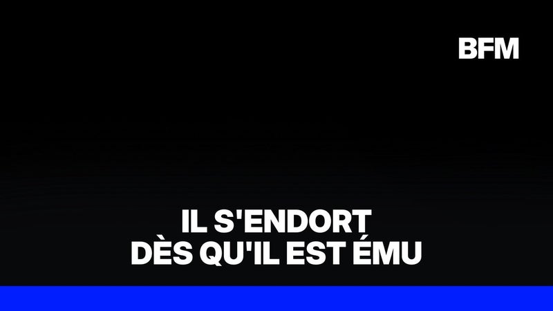 Ce jeune cocker atteint de narcolepsie s'endort dès qu'il est ému