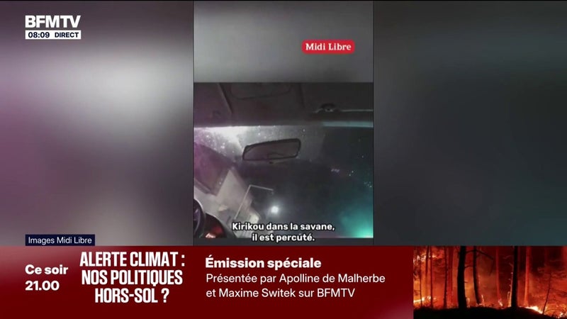 Une enquête ouverte après les propos racistes et misogynes d'un équipage de police municipale à Carcassonne, filmés par une caméra-piéton
