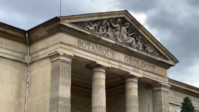 "Fissures, risque d'effondrement"... Le Muséum d'histoire naturelle, symbole d'un patrimoine en péril