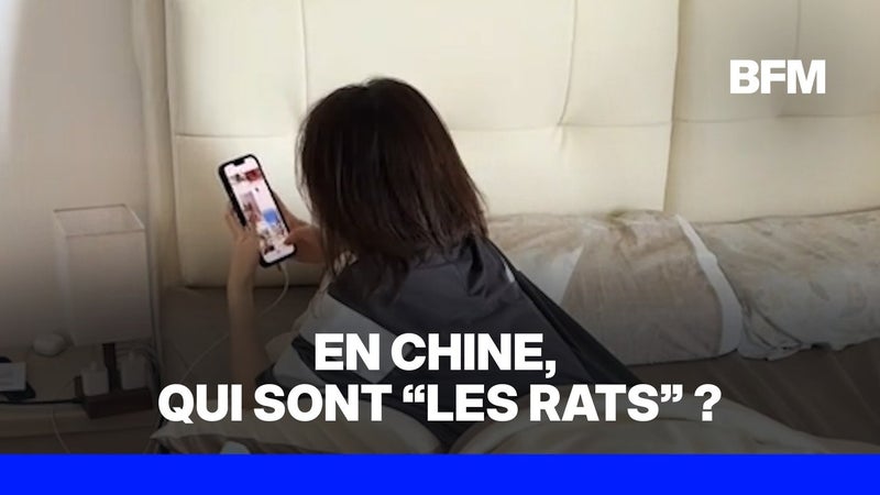 En Chine, qui sont “les rats”, ces jeunes qui scrollent toute la journée?